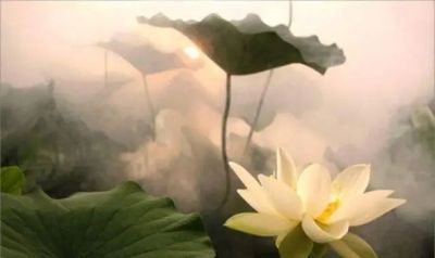 如何利用心理学技巧提高篮球比赛中的专注度_0